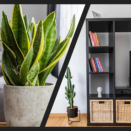 Matisse Hotflat Апартамент Варна