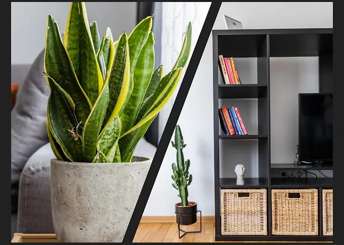 Matisse Hotflat Διαμέρισμα Βάρνα